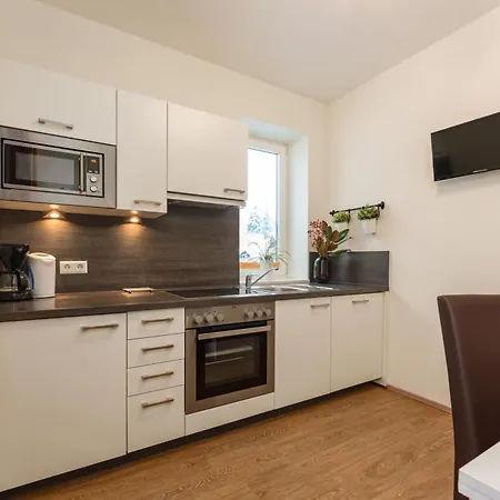アパート Bella Vista By Schladming-appartements シュラートミンク
